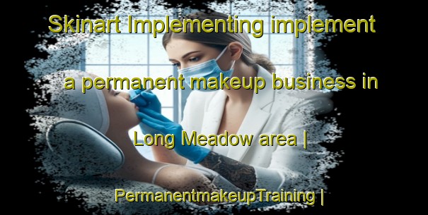 Skinart Implementing implement a permanent makeup business in Long Meadow area | PermanentmakeupTraining | PermanentmakeupClasses | SkinartTraining-United States